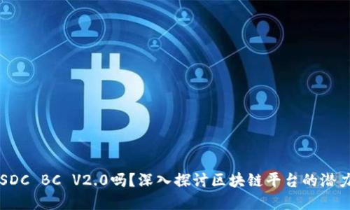 你了解SDC BC V2.0吗？深入探讨区块链平台的潜力与应用