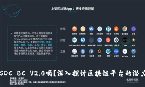 你了解SDC BC V2.0吗？深入探讨区块链平台的潜力与应用