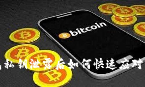 TP钱包私钥泄露后如何快速应对与修复