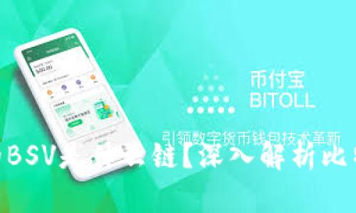 TP钱包中的BSV是什么链？深入解析比特币现金SV