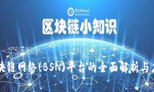 国家区块链网络(BSN)平台的全面解析与应用前景