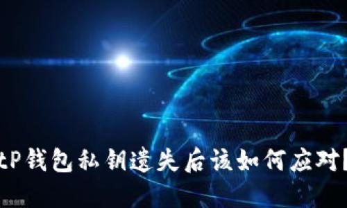 tP钱包私钥遗失后该如何应对？