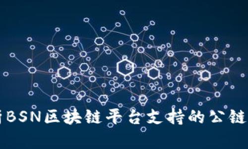 深入解析BSN区块链平台支持的公链及其应用