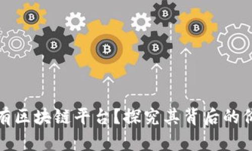 为什么现在还有区块链平台？探究其背后的价值与未来机遇