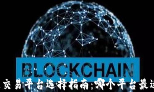 
区块链交易平台选择指南：哪个平台最适合你？