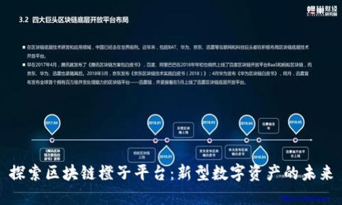 探索区块链橙子平台：新型数字资产的未来