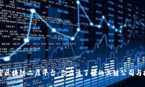 解密区块链二层平台：你应该了解的关键公司与技术
