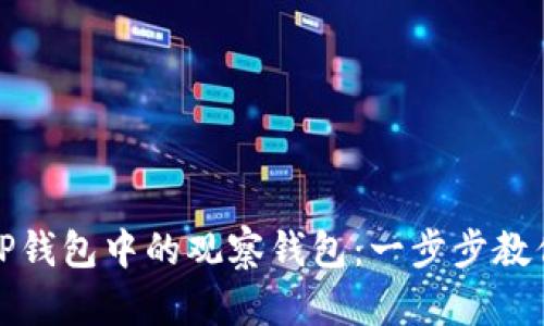 如何设置TP钱包中的观察钱包：一步步教你轻松操作
