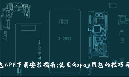 Gopay钱包APP下载安装指南：使用Gopay钱包的技巧与风险分析