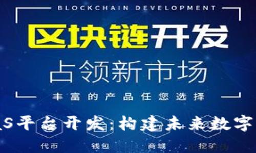 区块链BaaS平台开发：构建未来数字信任的基石