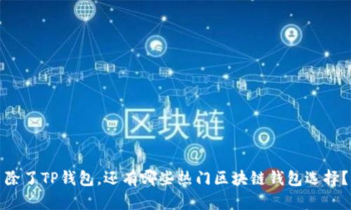 除了TP钱包，还有哪些热门区块链钱包选择？