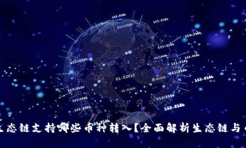 TP钱包生态链支持哪些币种转入？全面解析生态链与币种支持
