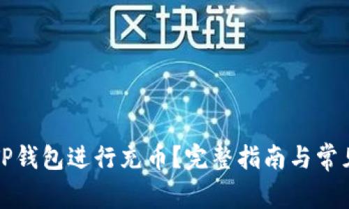 如何使用TP钱包进行充币？完整指南与常见问题解答