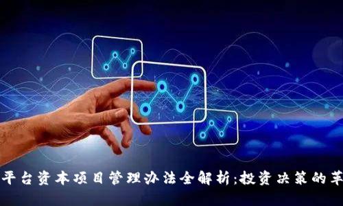 区块链平台资本项目管理办法全解析：投资决策的革新之道