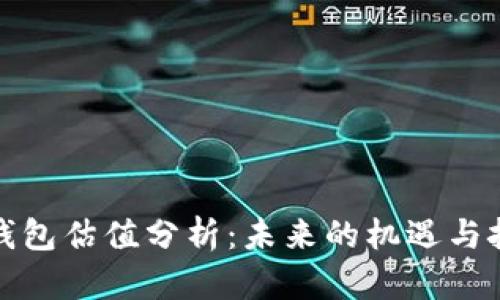 TP钱包估值分析：未来的机遇与挑战