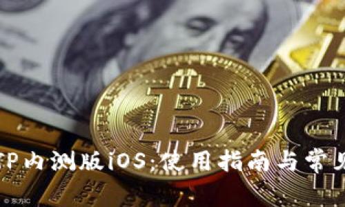 全面了解TP内测版iOS：使用指南与常见问题解答
